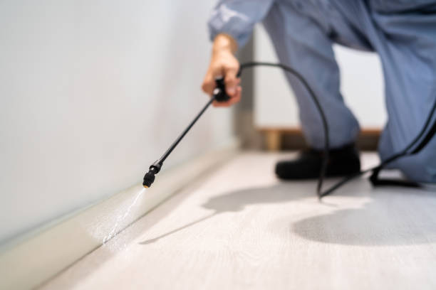 Licensed Termite Control service in Bridgman, MI - Nex Pest Control