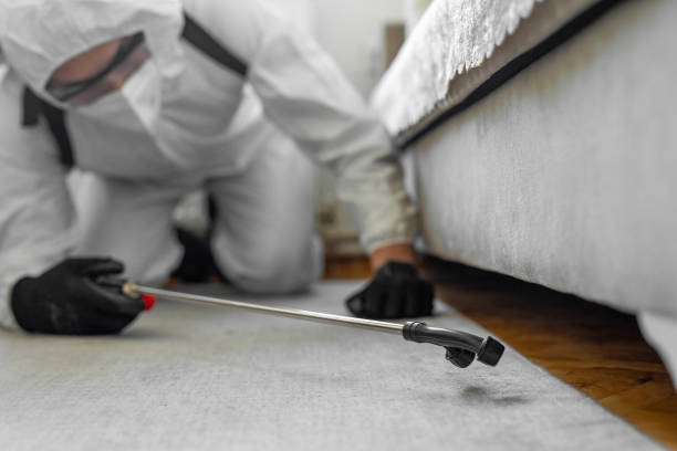 Professional Termite Control technician working in Bridgman, MI