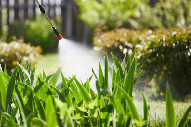 24/7 Emergency Termite Control experts in Bridgman, MI