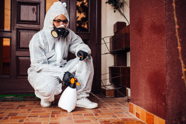 Reliable Termite Control contractor in Bridgman, MI by Nex Pest Control