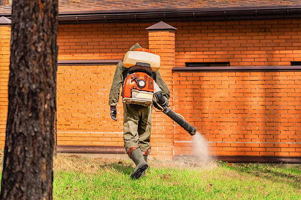 Top rated local Termite Control specialists in Bridgman, MI